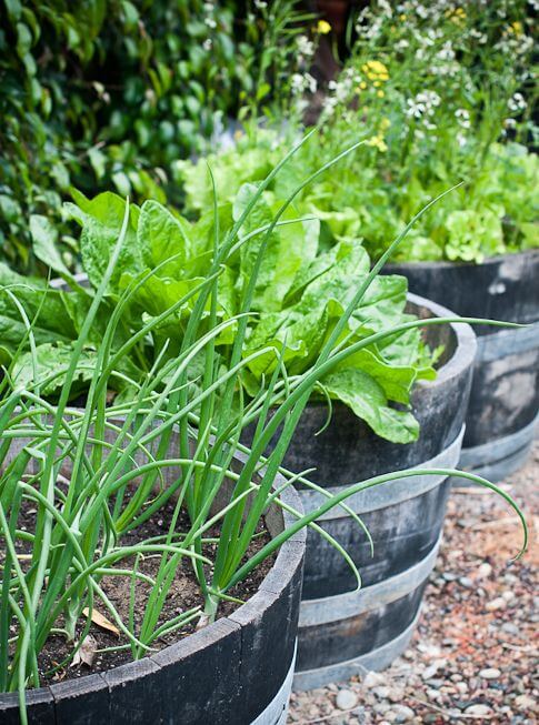 20 DIY Raised Garden Bed Ideas That Made Out Of Easy-to-find Materials - 149