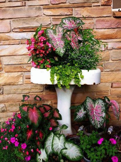21 Upcycled Flower Bed Ideas - 147