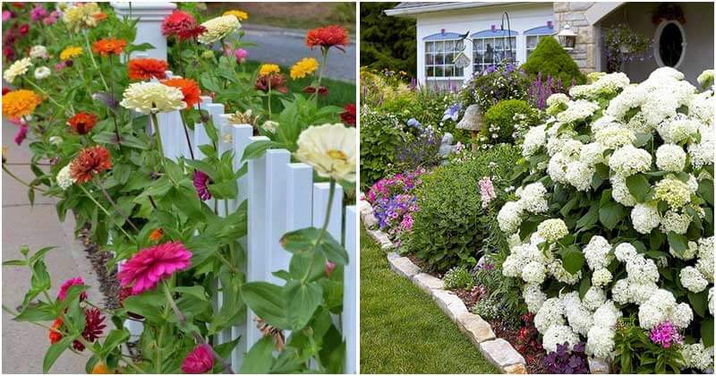 25 Inspiring Flower Garden Pictures